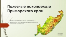Презентация Полезные ископаемые Приморского края