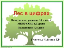 Презентация по экологии на тему Лес в цифрах