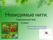 Презентация Невидимые линии по Окружающему миру 3 класс