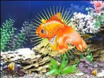 Презентация к занятию по акварельке. Коллективное панно Морские обитатели