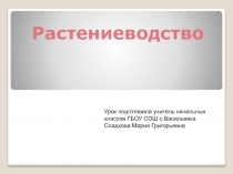Конспект урока на тему Растениеводство