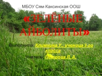 Лекарственные растения (3 класс)