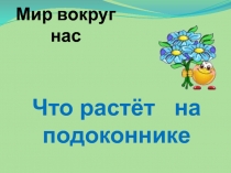 Презентация к уроку окружающего мира в 1 классе по теме: Что растёт на подоконнике?