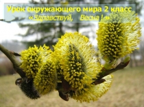 Презентация по окружающему миру на темуВесна