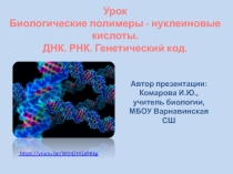 Презентация по биологии к уроку Биологические полимеры - нуклеиновые кислоты. ДНК. РНК. Генетический код.