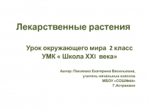 Презентация к уроку Лекарственные растения (2 класс) Школа 21 века