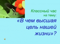 Презентация к классному часу В чем высшая цель нашей жизни?