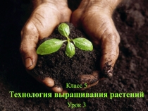 Презентация к уроку Технология в 7 классе по теме Минеральные удобрения