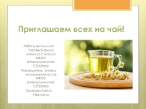 Презентация по предмету окружающий мир
