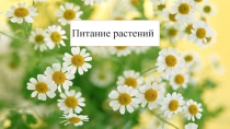 Презентация по биологии Корневое и воздушное питания (6 класс)