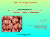 Влияние различных способов подготовки клубней картофеля к посадке на урожайность