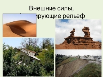 Презентация к уроку географии в 8 классе по теме Внешние силы, формирующие рельеф