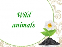 Wild Animals. Domestic Animals