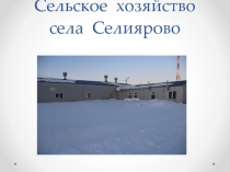 Сельское хозяйство села Селиярово