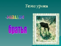 Презентация Братья наши меньшие.
