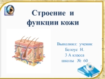 Презентация по окружающему миру Кожа