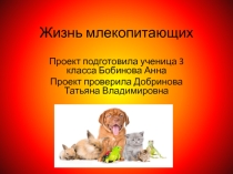 Презентация по окружающему миру