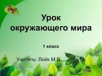 Презентация к уроку окружающего мира Про больших и маленьких