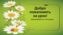 Презентация 7 класс Многообразие насекомых