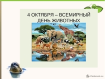 Презентация Всемирный день животных