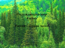 Презентация по окружающему миру на тему Лес