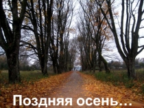 Поздняя осень