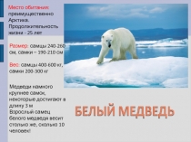 Презентация по окружающему миру на тему Белый медведь