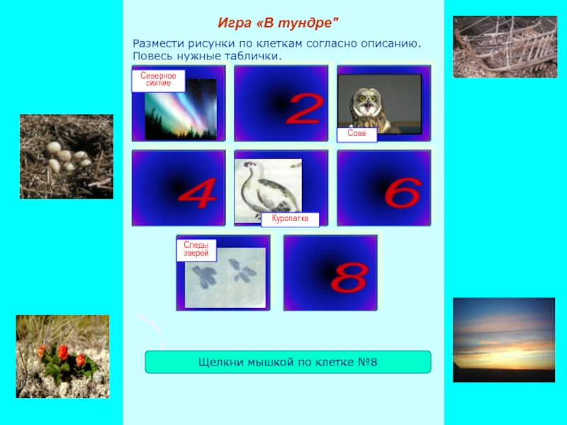 Презентация игры Заколдованная тундра Размести рисунки по клеткам согласно описанию. Повесь нужные таблички.Игра «В тундре Размести рисунки по клеткам согласно описанию. Повесь нужные таблички.Игра «В тундре