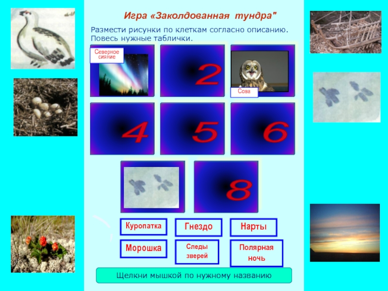 Презентация игры Заколдованная тундра Размести рисунки по клеткам согласно описанию. Повесь нужные таблички.Игра «Заколдованная тундра Размести рисунки по клеткам согласно описанию. Повесь нужные таблички.Игра «Заколдованная тундра