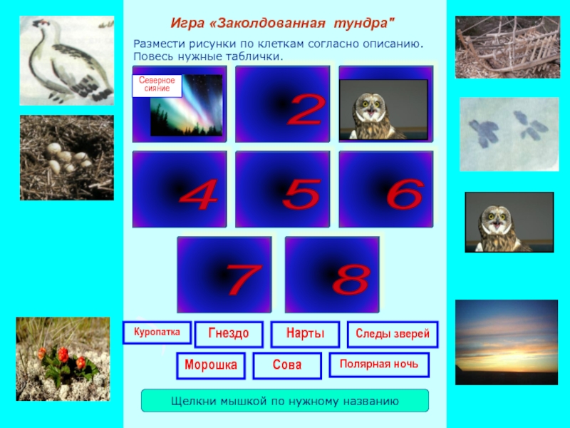 Презентация игры Заколдованная тундра Размести рисунки по клеткам согласно описанию. Повесь нужные таблички.Игра «Заколдованная тундра Размести рисунки по клеткам согласно описанию. Повесь нужные таблички.Игра «Заколдованная тундра