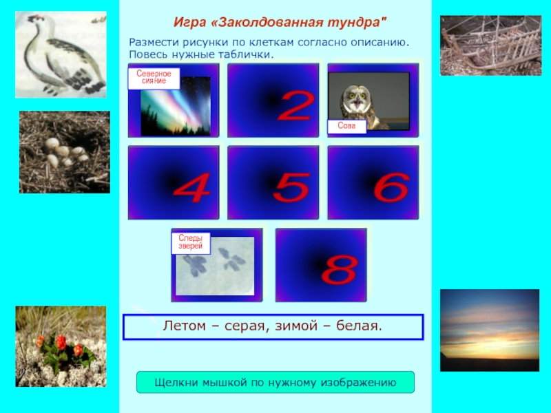 Презентация игры Заколдованная тундра Размести рисунки по клеткам согласно описанию. Повесь нужные таблички.Игра «Заколдованная тундра Размести рисунки по клеткам согласно описанию. Повесь нужные таблички.Игра «Заколдованная тундра