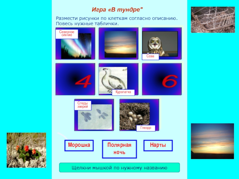 Презентация игры Заколдованная тундра Размести рисунки по клеткам согласно описанию. Повесь нужные таблички.Игра «В тундре Размести рисунки по клеткам согласно описанию. Повесь нужные таблички.Игра «В тундре