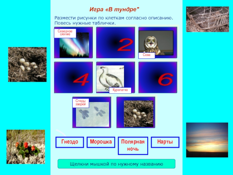 Презентация игры Заколдованная тундра Размести рисунки по клеткам согласно описанию. Повесь нужные таблички.Игра «В тундре Размести рисунки по клеткам согласно описанию. Повесь нужные таблички.Игра «В тундре