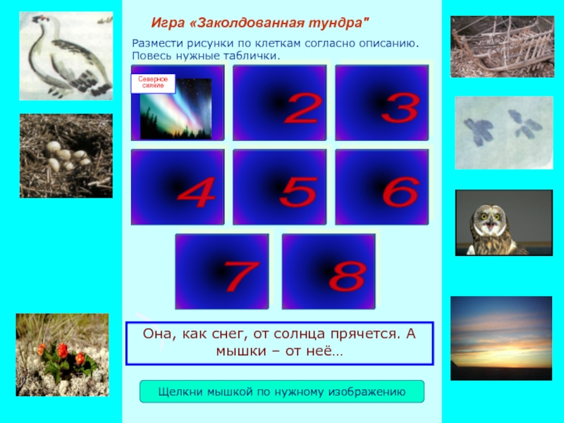 Презентация игры Заколдованная тундра Размести рисунки по клеткам согласно описанию. Повесь нужные таблички.Игра «Заколдованная тундра Размести рисунки по клеткам согласно описанию. Повесь нужные таблички.Игра «Заколдованная тундра