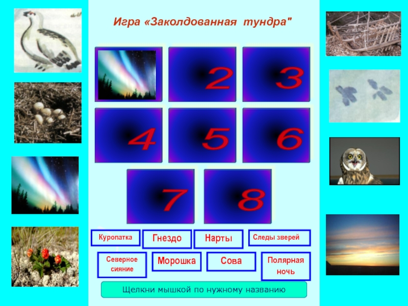 Презентация игры Заколдованная тундра Игра «Заколдованная тундра Игра «Заколдованная тундра