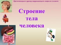 Презентация к уроку окружающего мира во 2 классе по теме Строение тела человека