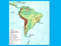 Презентация по географии Растительность тропических лесов Южной Америки