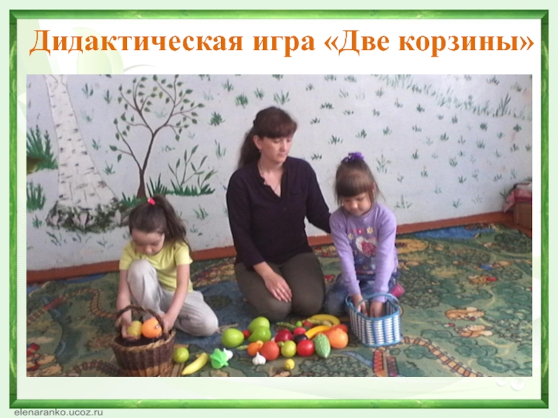 Формирование бережного отношения к природе в процессе экологического восптная у детей старшего дошкольного возраста Дидактическая игра «Две корзины» Дидактическая игра «Две корзины»