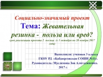 Презентация проекта Жевательная резинка