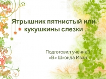 Презентация по окружающему миру Ятрышник пятнистый или кукушкины слёзки (старшие дошкольники)