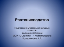 Презентация к уроку окружающего мира по теме Культурные растения