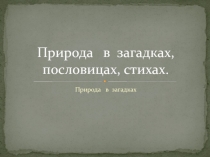 Презентация Природа в загадках, пословицах, стихах
