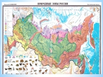 Презентация по окружающему миру для 4-го класса по теме Природные зоны России