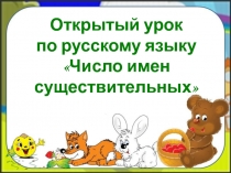 Презентация к уроку Число имен существительных