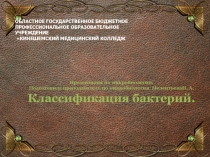 Презентация по микробиологии для студентов медицинского колледжа Классификация бактерий