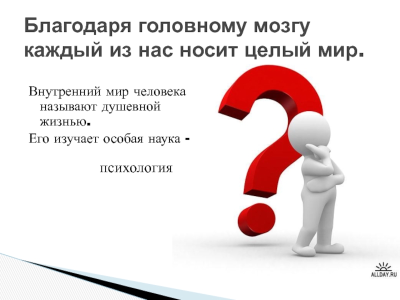 Презентация по окружающему миру на тему Человек Внутренний мир человека называют душевной жизнью. Его изучает особая наука -Благодаря Внутренний мир человека называют душевной жизнью. Его изучает особая наука -Благодаря головному мозгу каждый из нас носит