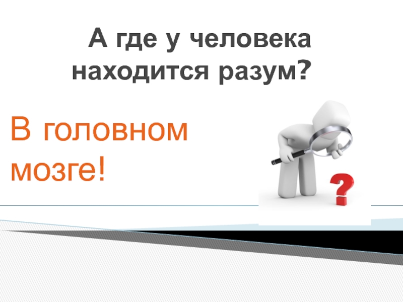 Презентация по окружающему миру на тему Человек А где у человека находится разум?В головном мозге! А где у человека находится разум?В головном мозге!