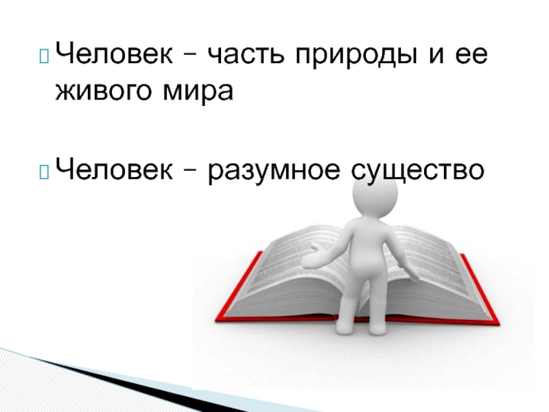 Презентация по окружающему миру на тему Человек Человек – часть природы и ее живого мираЧеловек – разумное существо Человек – часть природы и ее живого мираЧеловек – разумное существо