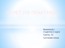 Отчет по практике