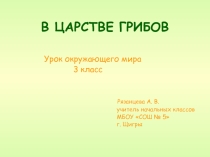 ЦАРСТВО ГРИБОВ